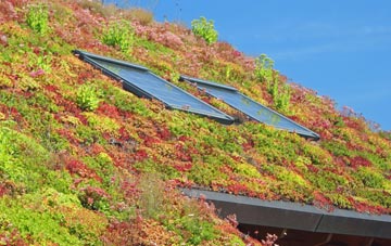 Pitses living roof systems